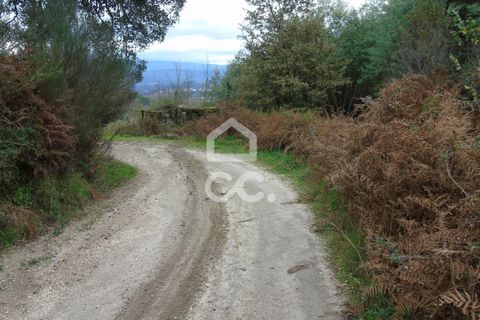 Farm hus i Celorico de Basto, Braga, Celorico de Basto - € 170.000 | Ref: 336/Q/01768 - foto 25