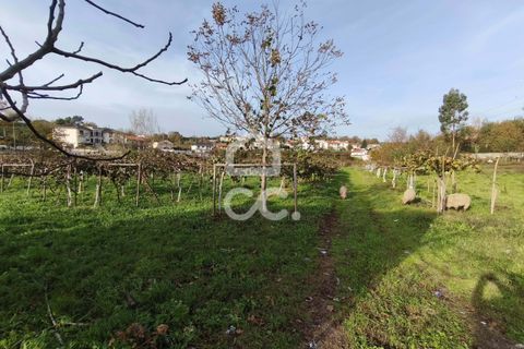 Helårsgrund i Braga, Braga, Braga - € 135.000 | Ref: 336/T/01769 - foto 5