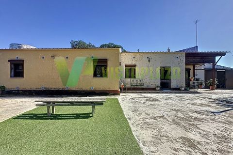 Landejendom i Silves, Faro, Silves - € 450.000 | Ref: CAS-6841 - foto 16