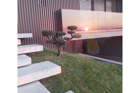 Villa i Braga, Braga, Braga - € 799.900 | Ref: clix mais M 1287 - foto 4