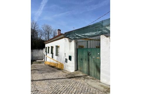 Farm i Mora, Evora, Mora - € 650.000 | Ref: 934 - foto 4