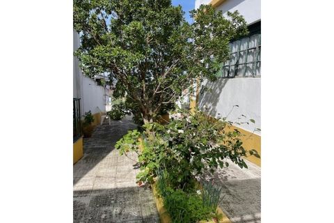 Farm i Mora, Evora, Mora - € 650.000 | Ref: 934 - foto 7