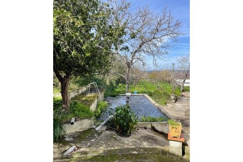 Farm i Mora, Evora, Mora - € 650.000 | Ref: 934 - foto 11