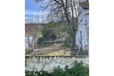 Farm i Mora, Evora, Mora - € 650.000 | Ref: 934 - foto 14