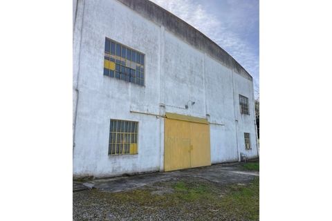Farm i Mora, Evora, Mora - € 650.000 | Ref: 934 - foto 18