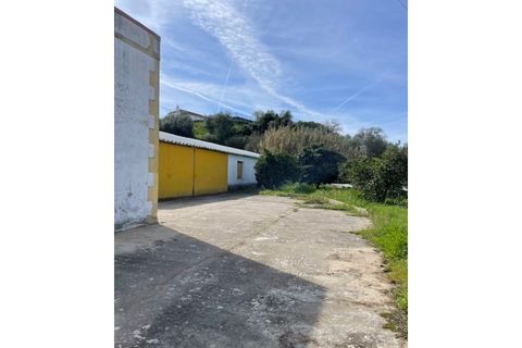 Farm i Mora, Evora, Mora - € 650.000 | Ref: 934 - foto 20