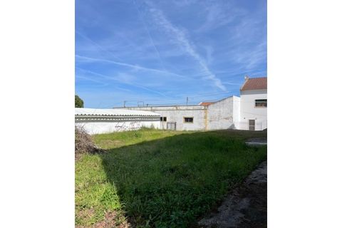 Farm i Mora, Evora, Mora - € 650.000 | Ref: 934 - foto 23