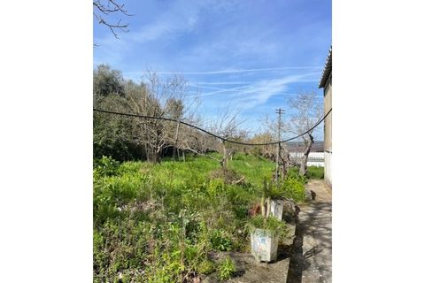 Farm i Mora, Evora, Mora - € 650.000 | Ref: 934 - foto 24
