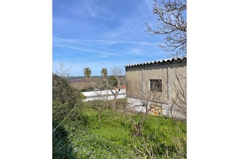 Farm i Mora, Evora, Mora - € 650.000 | Ref: 934 - foto 25