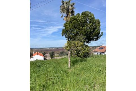 Farm i Mora, Evora, Mora - € 650.000 | Ref: 934 - foto 26