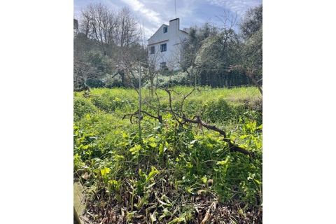 Farm i Mora, Evora, Mora - € 650.000 | Ref: 934 - foto 27