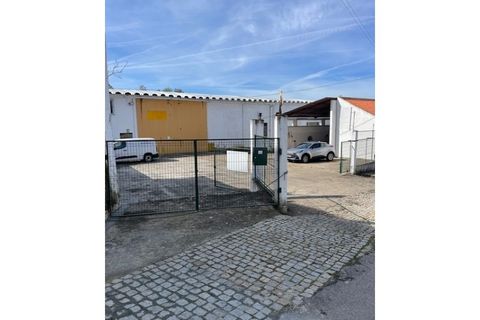 Farm i Mora, Evora, Mora - € 650.000 | Ref: 934 - foto 29