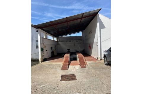 Farm i Mora, Evora, Mora - € 650.000 | Ref: 934 - foto 31