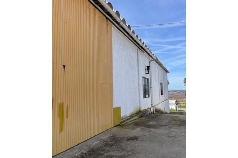 Farm i Mora, Evora, Mora - € 650.000 | Ref: 934 - foto 33