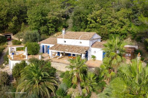 Villa i Montauroux, Var, Montauroux - € 1.090.000 | Ref: 85419108 - foto 3