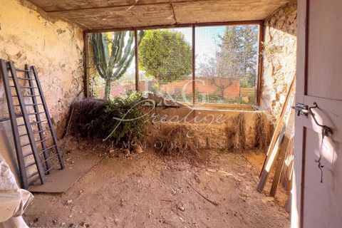 Villa a Callian, Var, Callian - € 255.000 | Ref: 85605087 - foto 13