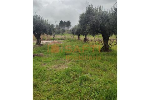 Helårsgrund i Ourem, Santarem, Ourem - € 32.000 | Ref: SAFTI:005376 - foto 7