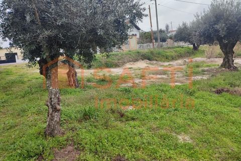 Helårsgrund i Ourem, Santarem, Ourem - € 32.000 | Ref: SAFTI:005376 - foto 5