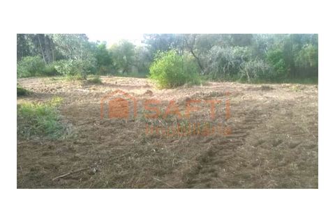 Helårsgrund i Ourem, Santarem, Ourem - € 32.000 | Ref: SAFTI:005376 - foto 1