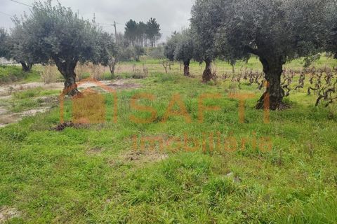 Helårsgrund i Ourem, Santarem, Ourem - € 32.000 | Ref: SAFTI:005376 - foto 4