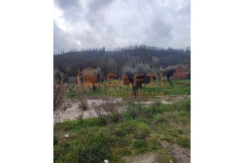 Helårsgrund i Ourem, Santarem, Ourem - € 32.000 | Ref: SAFTI:005376 - foto 10
