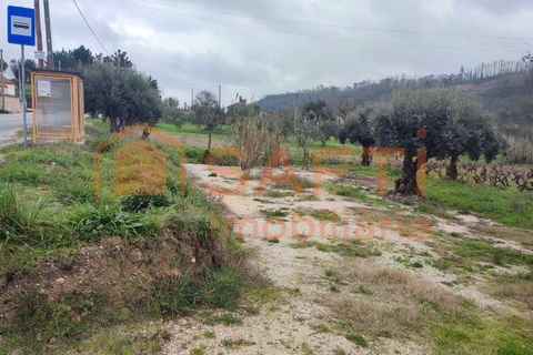 Helårsgrund i Ourem, Santarem, Ourem - € 32.000 | Ref: SAFTI:005376 - foto 9