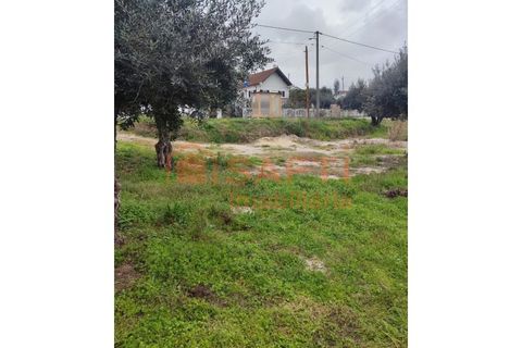 Helårsgrund i Ourem, Santarem, Ourem - € 32.000 | Ref: SAFTI:005376 - foto 11