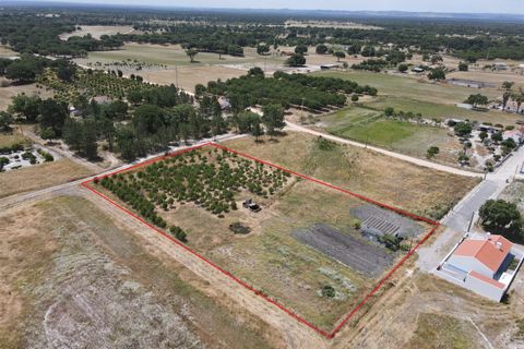 Farm i Alcacer do Sal, Setubal, Alcacer do Sal - € 140.000 | Ref: DHA0112 - foto 1