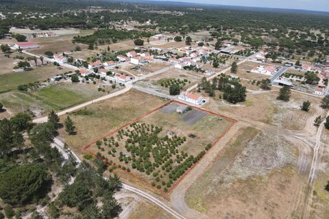 Farm i Alcacer do Sal, Setubal, Alcacer do Sal - € 140.000 | Ref: DHA0112 - foto 3