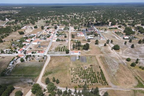 Farm i Alcacer do Sal, Setubal, Alcacer do Sal - € 140.000 | Ref: DHA0112 - foto 4