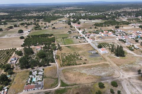 Farm i Alcacer do Sal, Setubal, Alcacer do Sal - € 140.000 | Ref: DHA0112 - foto 6