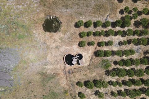 Farm i Alcacer do Sal, Setubal, Alcacer do Sal - € 140.000 | Ref: DHA0112 - foto 10