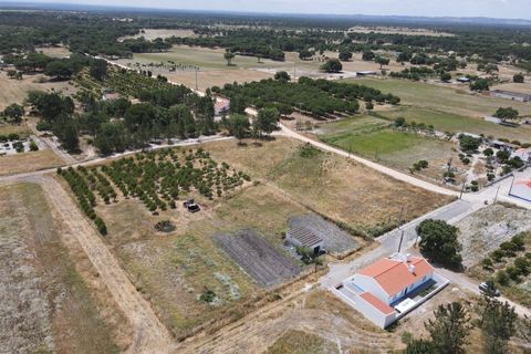Farm i Alcacer do Sal, Setubal, Alcacer do Sal - € 140.000 | Ref: DHA0112 - foto 13