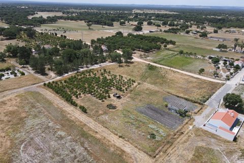 Farm i Alcacer do Sal, Setubal, Alcacer do Sal - € 140.000 | Ref: DHA0112 - foto 14