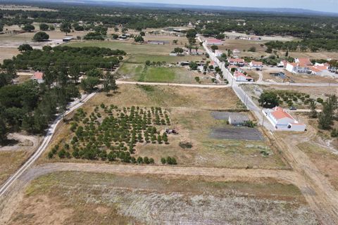Farm i Alcacer do Sal, Setubal, Alcacer do Sal - € 140.000 | Ref: DHA0112 - foto 15