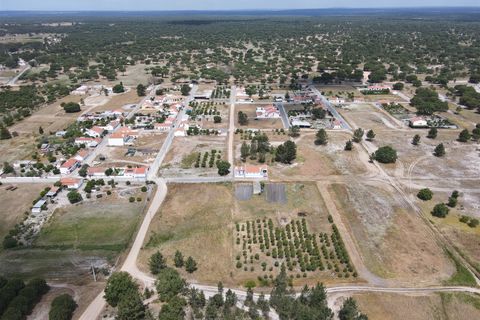 Farm i Alcacer do Sal, Setubal, Alcacer do Sal - € 140.000 | Ref: DHA0112 - foto 16