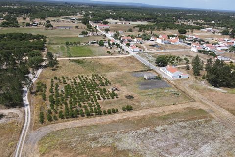 Farm i Alcacer do Sal, Setubal, Alcacer do Sal - € 140.000 | Ref: DHA0112 - foto 17