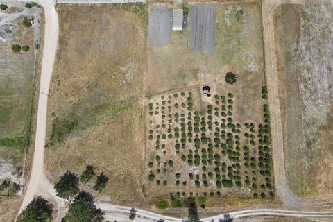 Farm i Alcacer do Sal, Setubal, Alcacer do Sal - € 140.000 | Ref: DHA0112 - foto 18