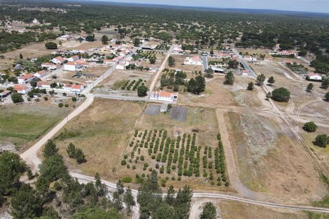 Farm i Alcacer do Sal, Setubal, Alcacer do Sal - € 140.000 | Ref: DHA0112 - foto 19