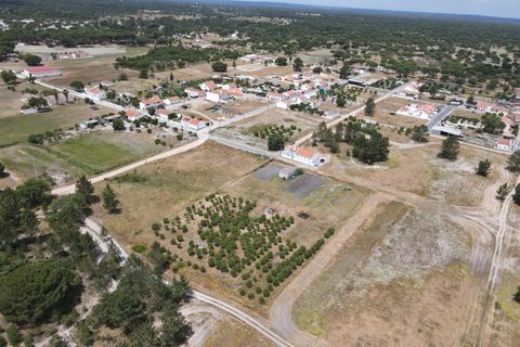 Farm i Alcacer do Sal, Setubal, Alcacer do Sal - € 140.000 | Ref: DHA0112 - foto 20