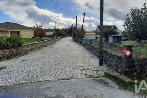 Tomt i Sabugal, Guarda, Sabugal - € 42 000 | Ref: 107322 - foto 3