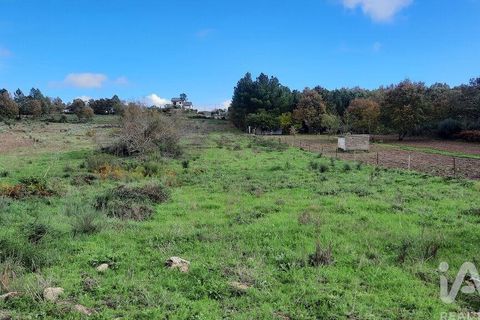 Tomt i Sabugal, Guarda, Sabugal - € 42 000 | Ref: 107322 - foto 4
