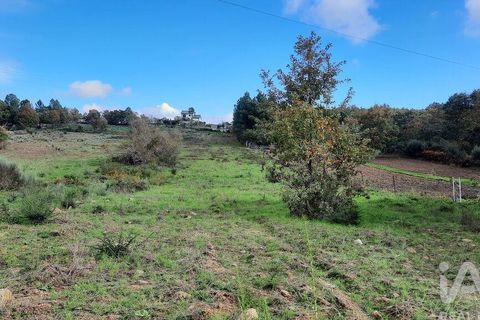 Tomt i Sabugal, Guarda, Sabugal - € 42 000 | Ref: 107322 - foto 6