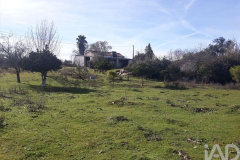 Byhus i Castelo de Vide, Portalegre, Castelo de Vide - € 55.000 | Ref: 113343 - foto 30