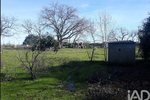 Byhus i Castelo de Vide, Portalegre, Castelo de Vide - € 55.000 | Ref: 113343 - foto 29