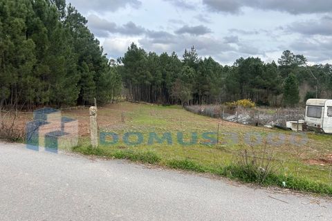Land in Vila Real, Vila Real, Vila Real - € 150/month | Ref: TER_1385 - photo 2
