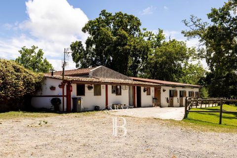 Villa a Urrugne, Pyrenees-Atlantiques, Urrugne - € 5.300.000 | Ref: M1458 - foto 8