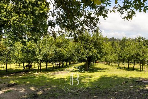 Villa a Urrugne, Pyrenees-Atlantiques, Urrugne - € 5.300.000 | Ref: M1458 - foto 11