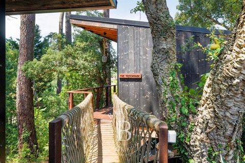 Villa i Seignosse, Landes, Seignosse - € 3.350.000 | Ref: M1482 - foto 23