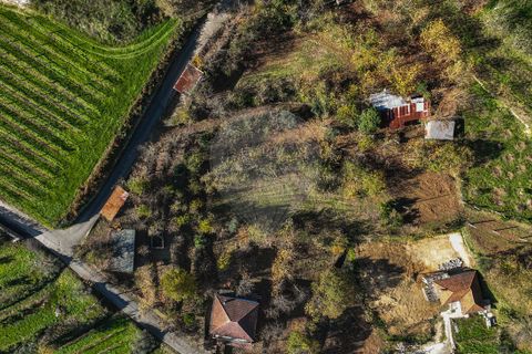 Villa i Celorico de Basto, Braga, Celorico de Basto - € 49.900 | Ref: 126221008-399 - foto 5